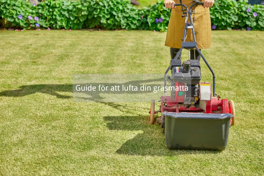 lufta gräsmatta