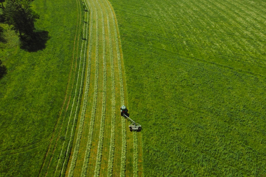 gräsmatta vertikalskära när