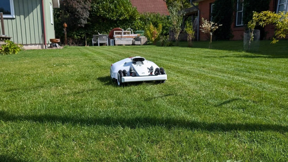 Klippa gräset på hösten: Guide til Höjd/Frekvens/Sista klippningen