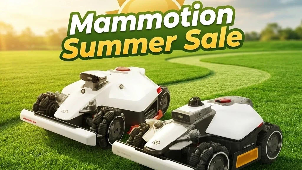 summer sale