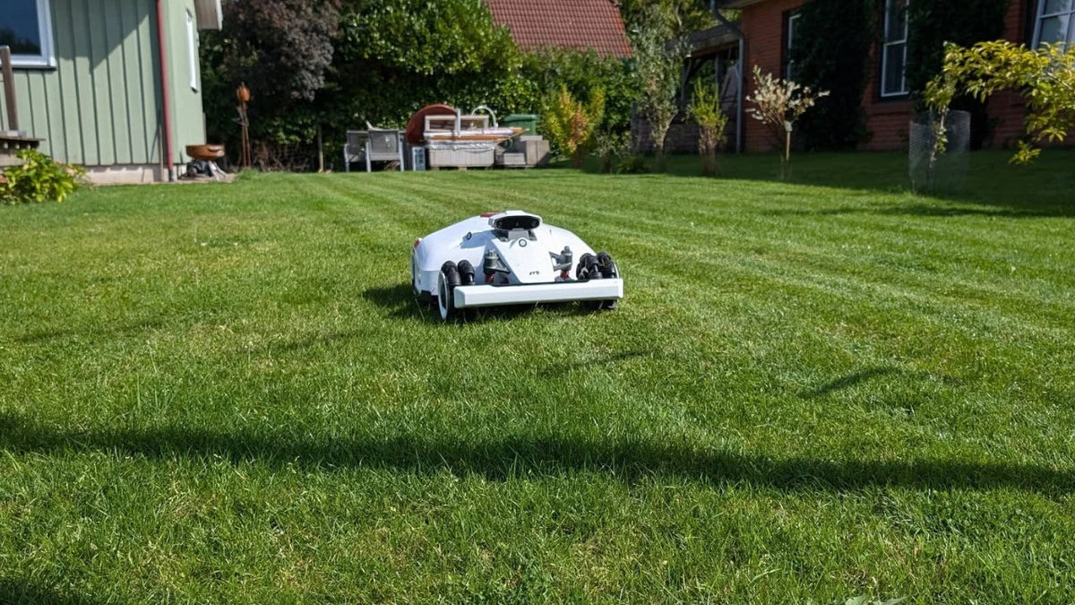 klippa gräset på hösten
