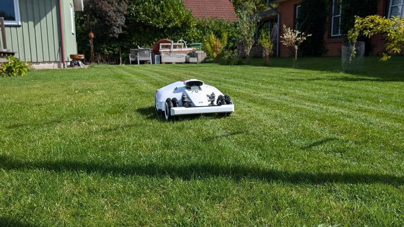 klippa gräset på hösten